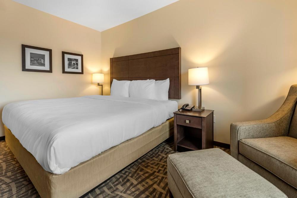 Standard King Room - Non-Smoking  interior